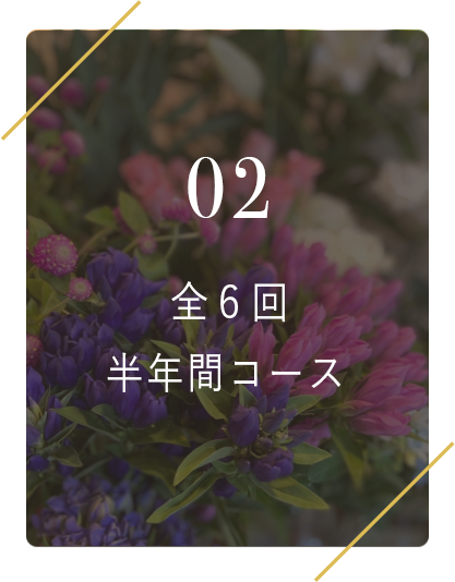 半年間コース